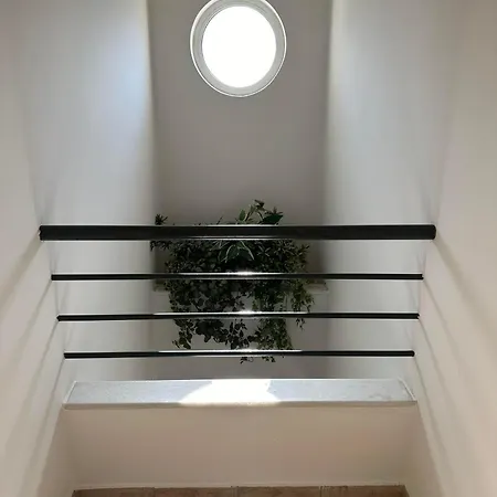 Ariadni * פאטרה